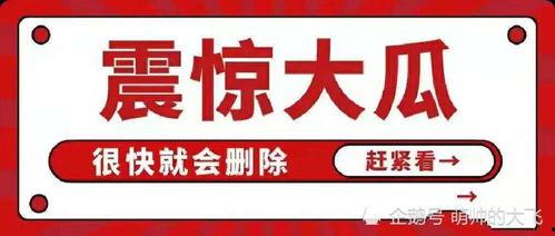 娱乐八卦吃瓜网站下载安装